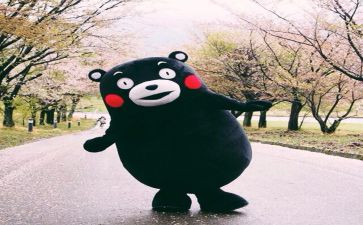 读书悦活动总结通用8篇