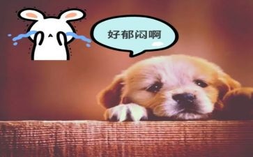 郁闷的事作文7篇