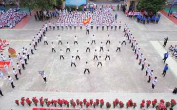 奥运会心得体会2024300字8篇