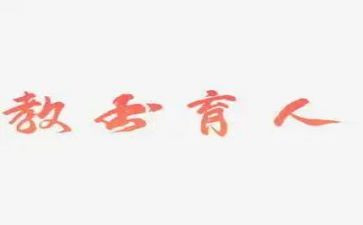 导师育人制工作总结6篇