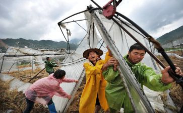 住房灾后申请书精选7篇
