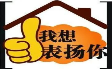 我被赞扬了作文5篇