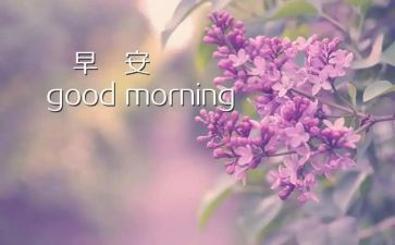 早教班工作计划8篇