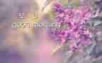 早教班工作计划8篇