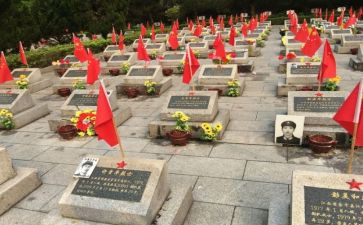 张从顺·张子权事迹精选7篇