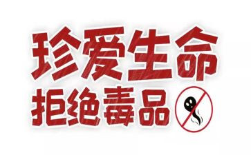 张子权观后感优质5篇