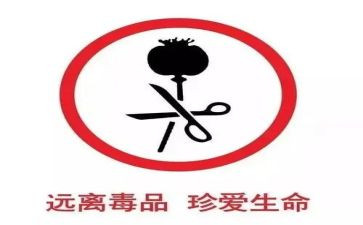 观看张子权心得体会最新6篇