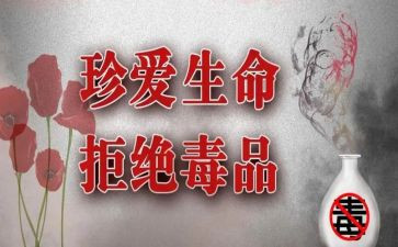 张子权观后感通用5篇