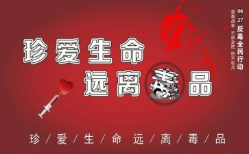 张子权观后感参考6篇