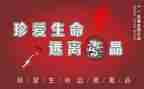 张子权观后感参考6篇
