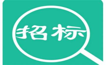 招标工作的个人总结6篇