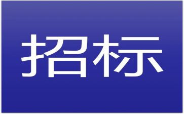 工程招标代理合同精选8篇