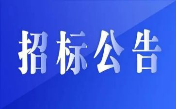 招标代理年终工作总结5篇
