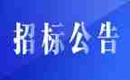 招标代理年终工作总结5篇