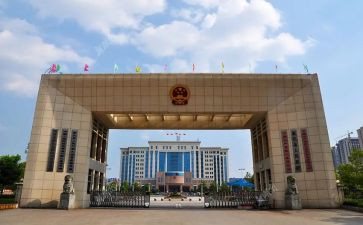 202政府工作总结参考7篇