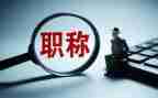 晋升正高级教师工作总结7篇