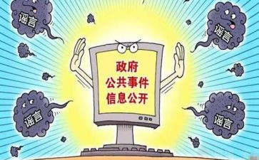 政务公开个人总结8篇