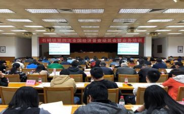 镇统计站工作总结6篇