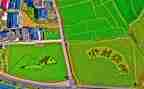 2024年乡村振兴工作报告推荐8篇