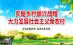 村乡村振兴工作总结报告5篇