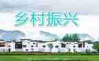 乡村振兴专员工作总结5篇