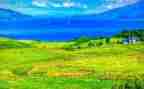 这样的画面让我流连600字作文5篇
