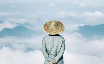 做有智慧的幼儿教师心得7篇