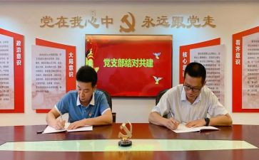 局党支部年终工作总结精选7篇