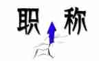 教师个人职称工作总结通用5篇