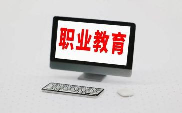 中职教师2024年度总结模板5篇