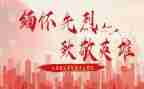 向英雄致敬作文精选7篇