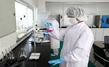 数质量工作计划通用5篇