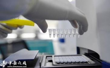 重常规抓质量心得体会6篇