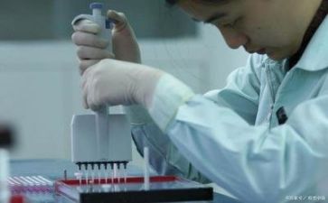 数质量工作计划优质7篇