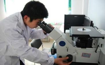 质量管理师工作总结7篇
