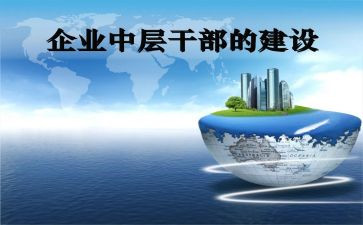 中层个人总结工作总结8篇