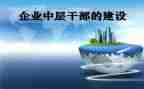 中层个人总结工作总结8篇