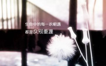 重逢的作文6篇