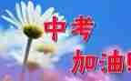 中考优秀发言稿范文5篇