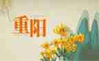 重阳节幼儿园活动方案优秀5篇