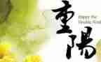 重阳节的活动策划最新7篇