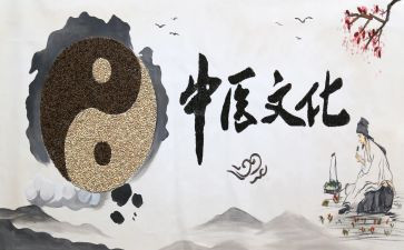 中医医生年度个人总结7篇