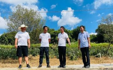 驻村干部的述职报告推荐7篇