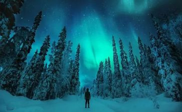 我追寻的……作文精选7篇