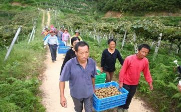 大病救助农村申请书通用5篇