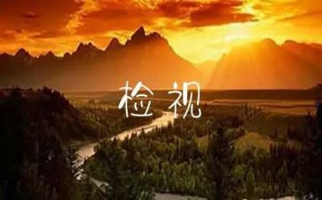 自查自检工作总结8篇
