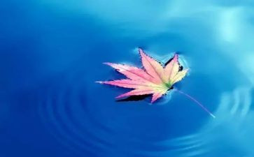 我的大自然作文5篇