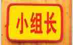部配组长年终工作总结7篇