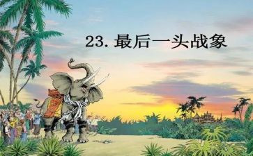 最后一头战象读书心得7篇
