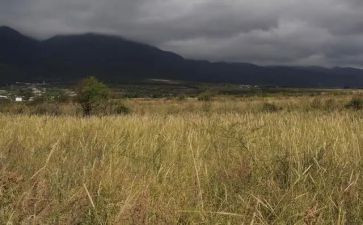 房屋租租赁合同模板6篇